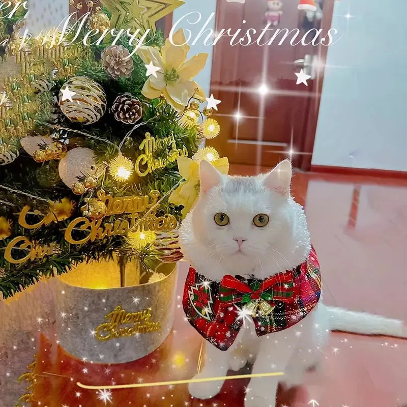 Red festive pet cloak with bell design draped on a small dog, showing integrated scarf.