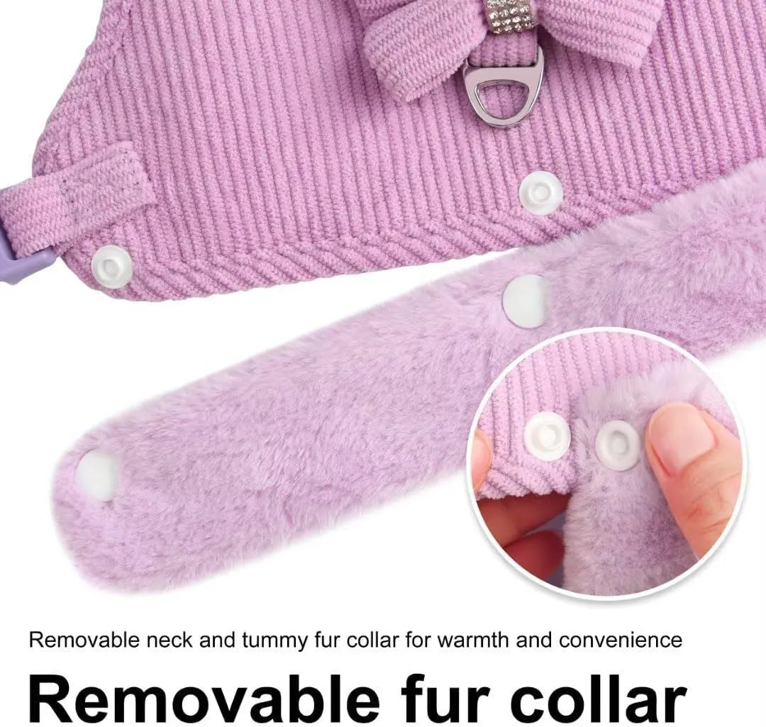 Small dog harness and leash set with bow tie, removable fur collar, padded adjustable harness and 150cm lead