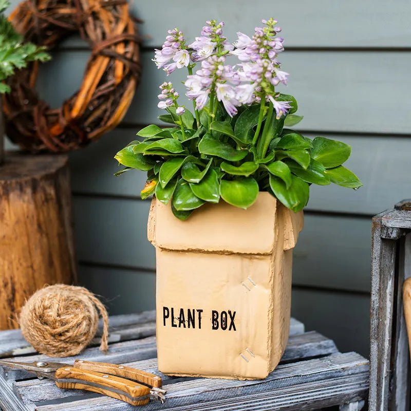 Cement flower pot with brown paper box design showing perforated drainage base