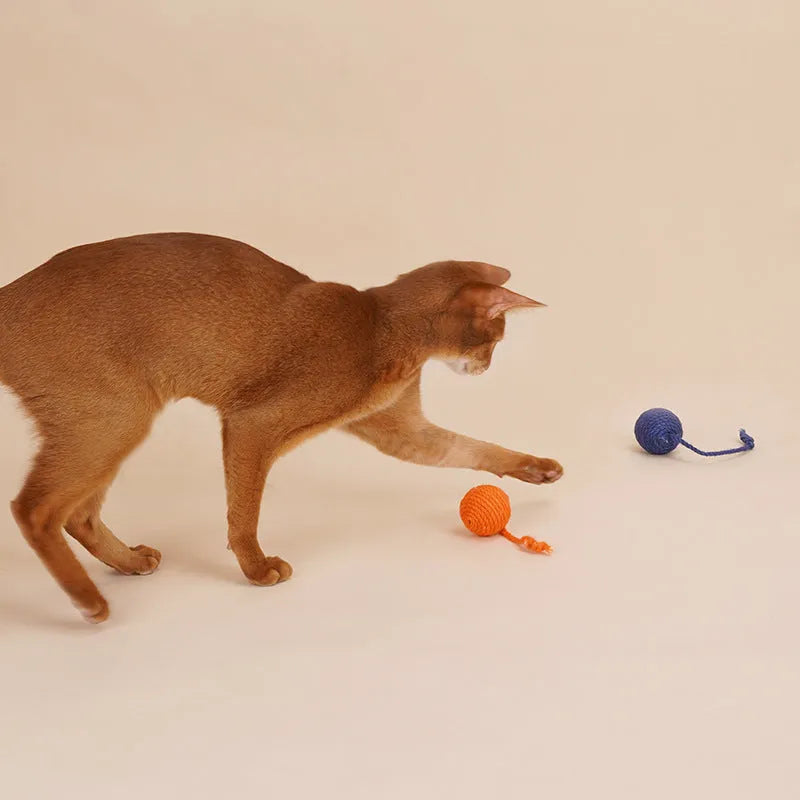 Cat teaser stick toy set with catnip balls in blue, green, and red yellow blue colour options