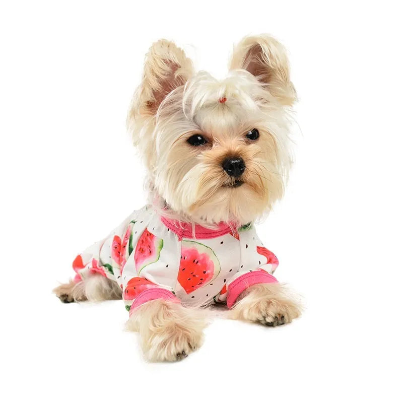 Watermelon red four-leg dog jumpsuit with watermelon print, polyester pet clothing in sizes XS to 2XL