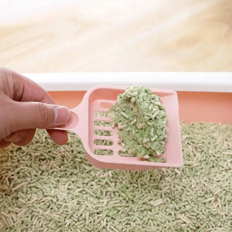 Blue plastic cat litter scoop measuring 20cm long for pet toilet cleaning
