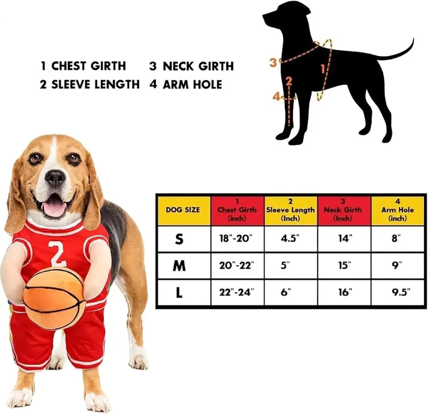 Small dog wearing red basketball player costume with padded arms and a bouncing basketball accessory
