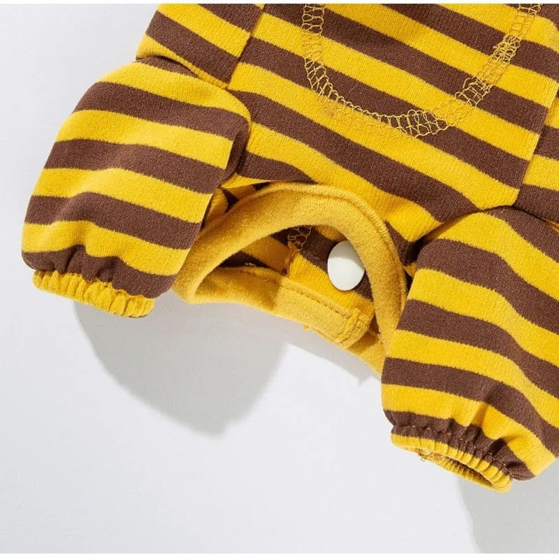 Yellow dog pajamas with bee pattern and lapel on small dog standing indoors