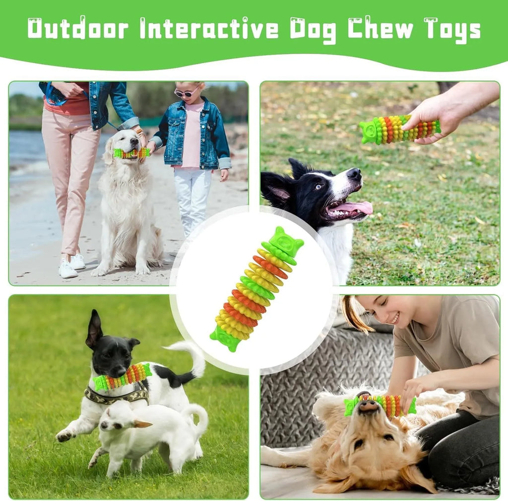 Blue natural rubber caterpillar-shaped dog chew toy for aggressive chewers.