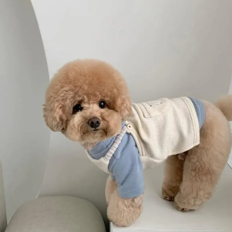 Brown corduroy pet vest with wool Sherpa collar on a small dog, halter design for easy wear