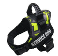 Explosion-proof chest harness pet leash in nylon with reflective material, stainless steel D-ring, and adjustable strap