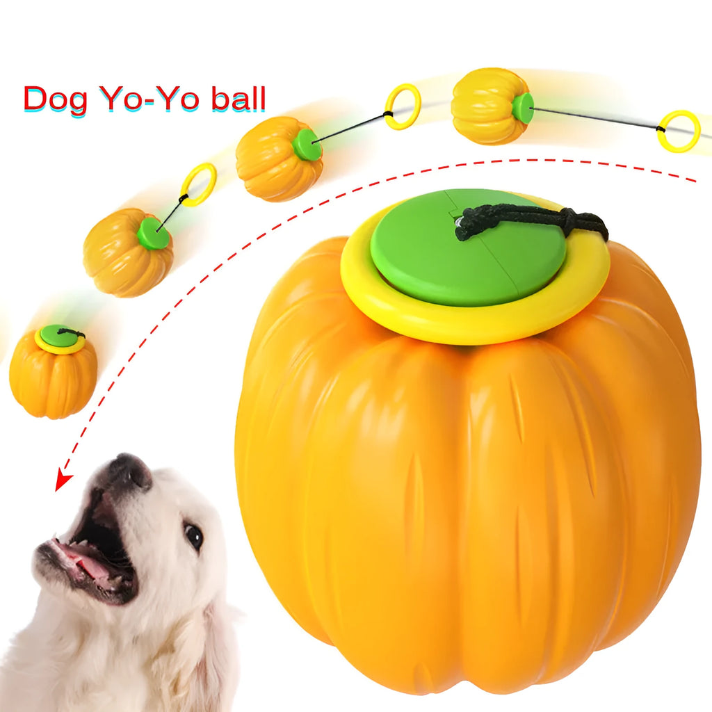 Pumpkin-shaped dog chew ball with squeaker for small dogs in green, orange and yellow colours