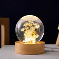 USB-powered eternal flower night light with clear resin crystal ball on a natural beech wood base.