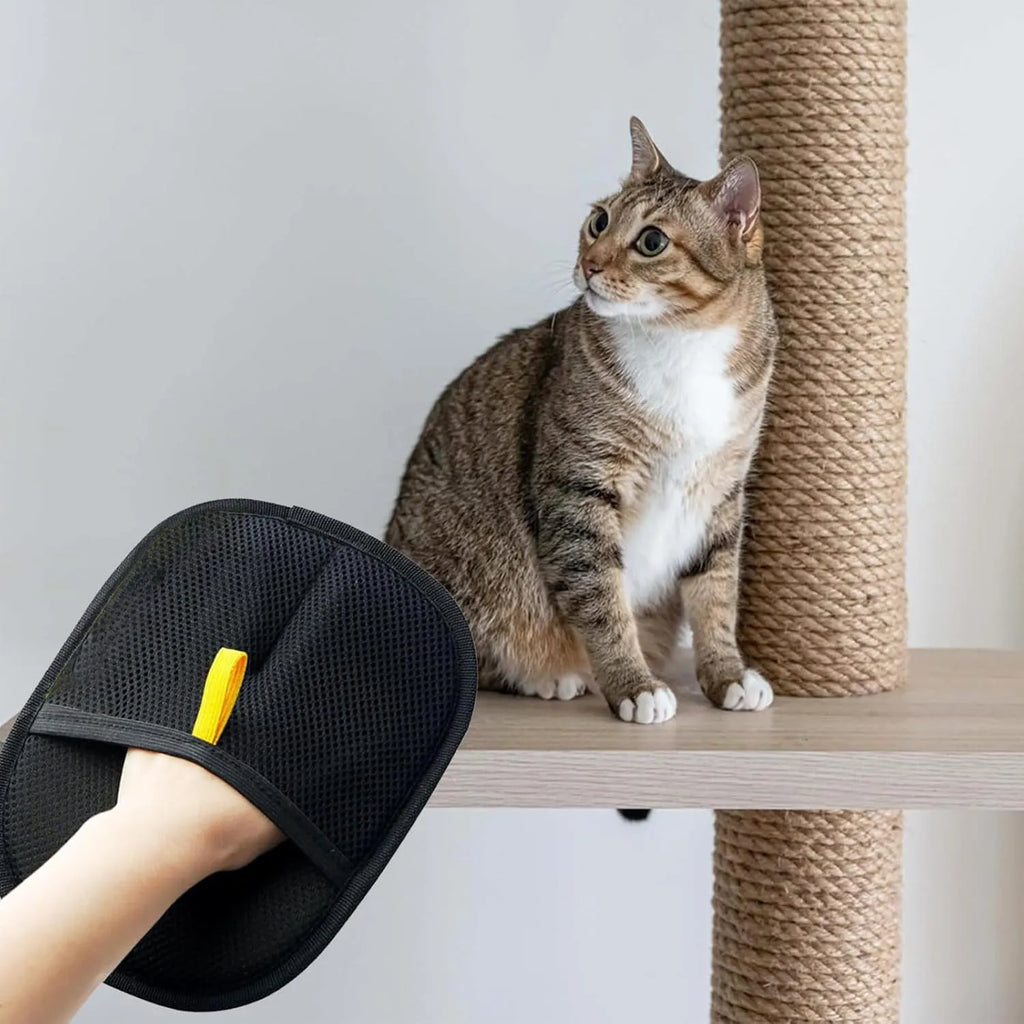 Pet electrostatic hair removal gloves with two-way bristles on a light background