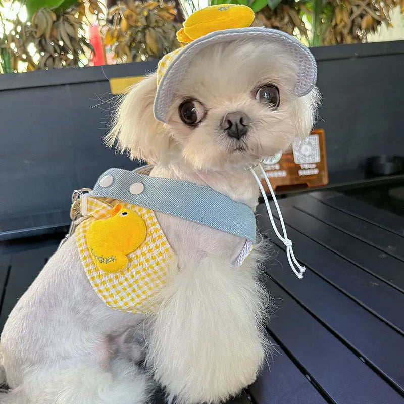 Three-piece pet harness and leash set with cute hat for cats and small dogs in spring summer colors