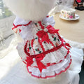 A small white dog wearing a blue and white rabbit print skirt, showcasing the princess-style pet clothing.