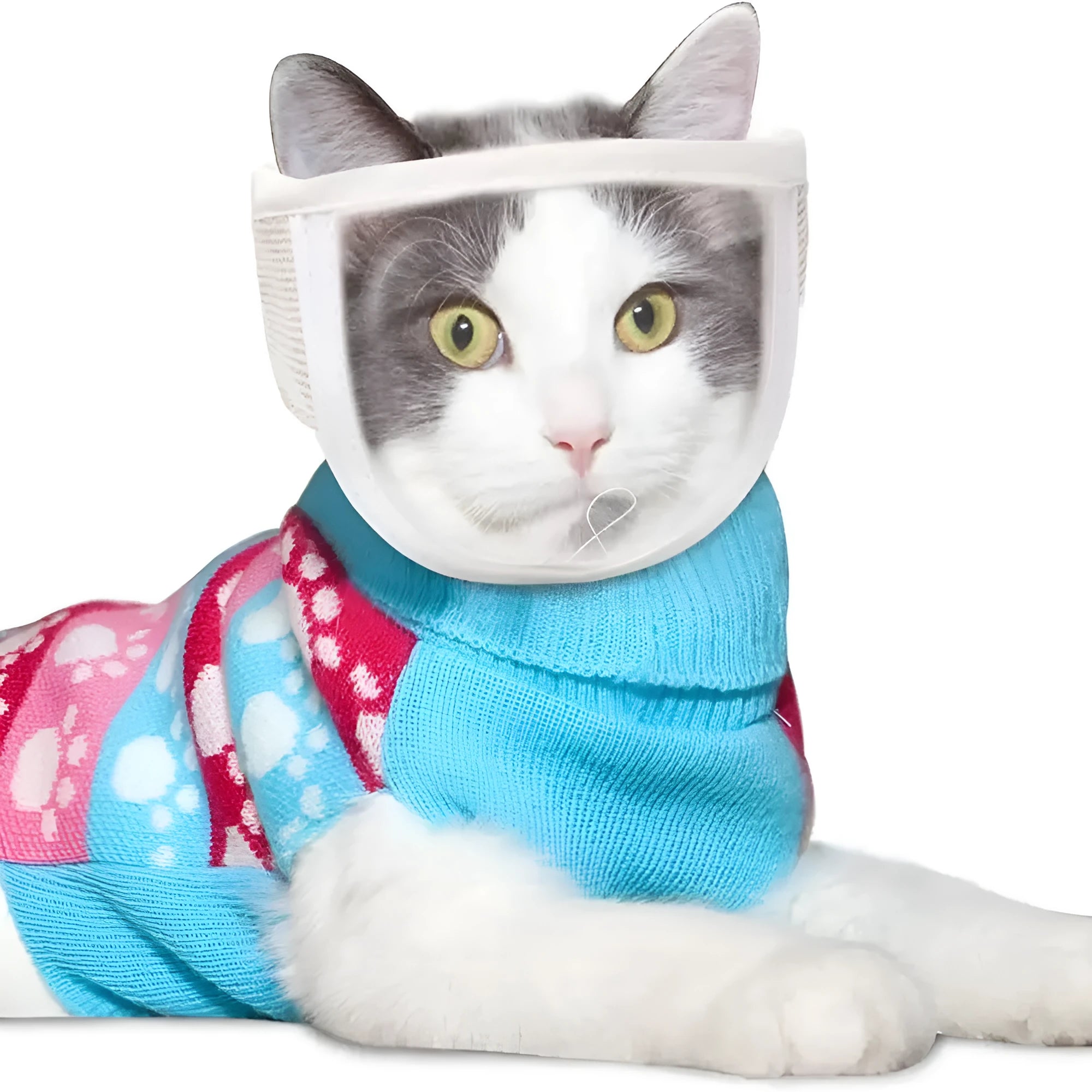 Clear cotton and PVC cat muzzle for anti bite grooming with adjustable strap