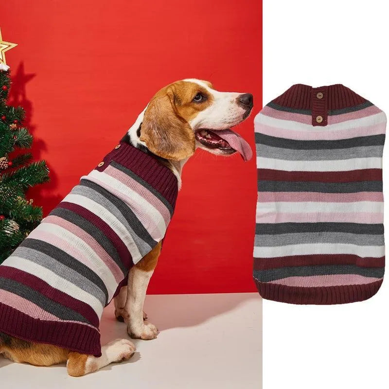 Small dog wearing acrylic sweater with horizontal front zipper and contrast colour detailing