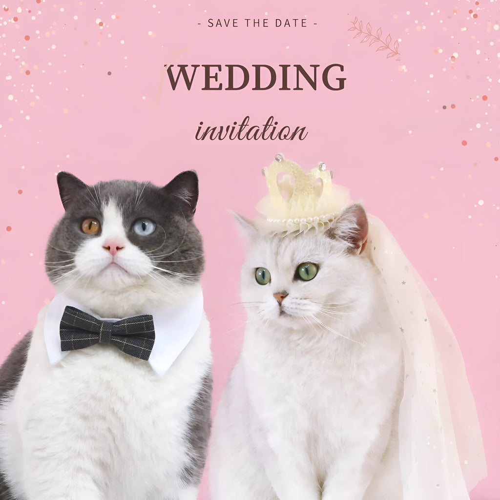 Pet cat wearing a white princess crown headdress with a beige veil accessory.