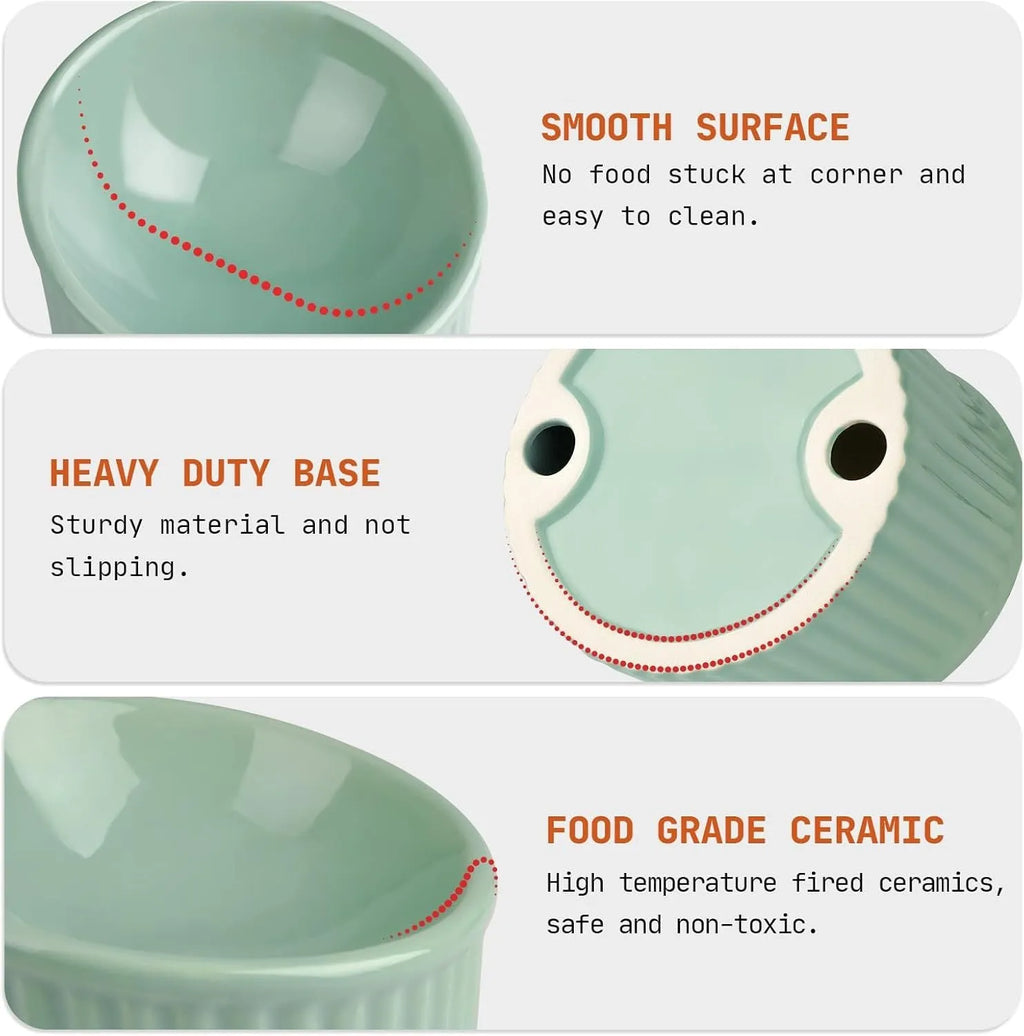 Elevated ceramic cat bowl in green colour showing raised design for feeding