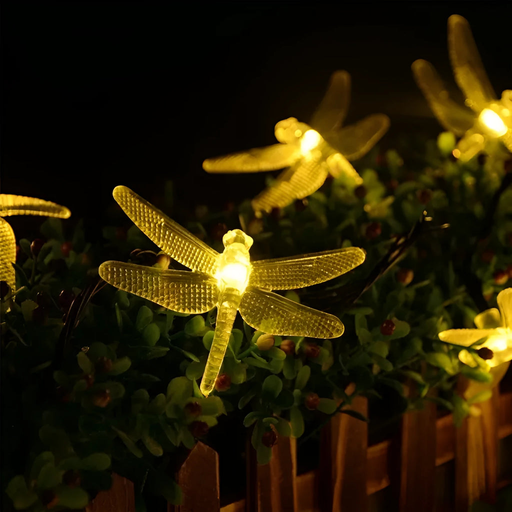 Outdoor solar LED string lights with dragonfly solar panel showing 5 metre length and IP65 waterproof construction