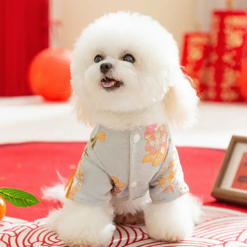 Light blue cheongsam pet coat with embroidered floral motifs, butterfly ornament, golden tassel, faux fur trim, and metal leash ring