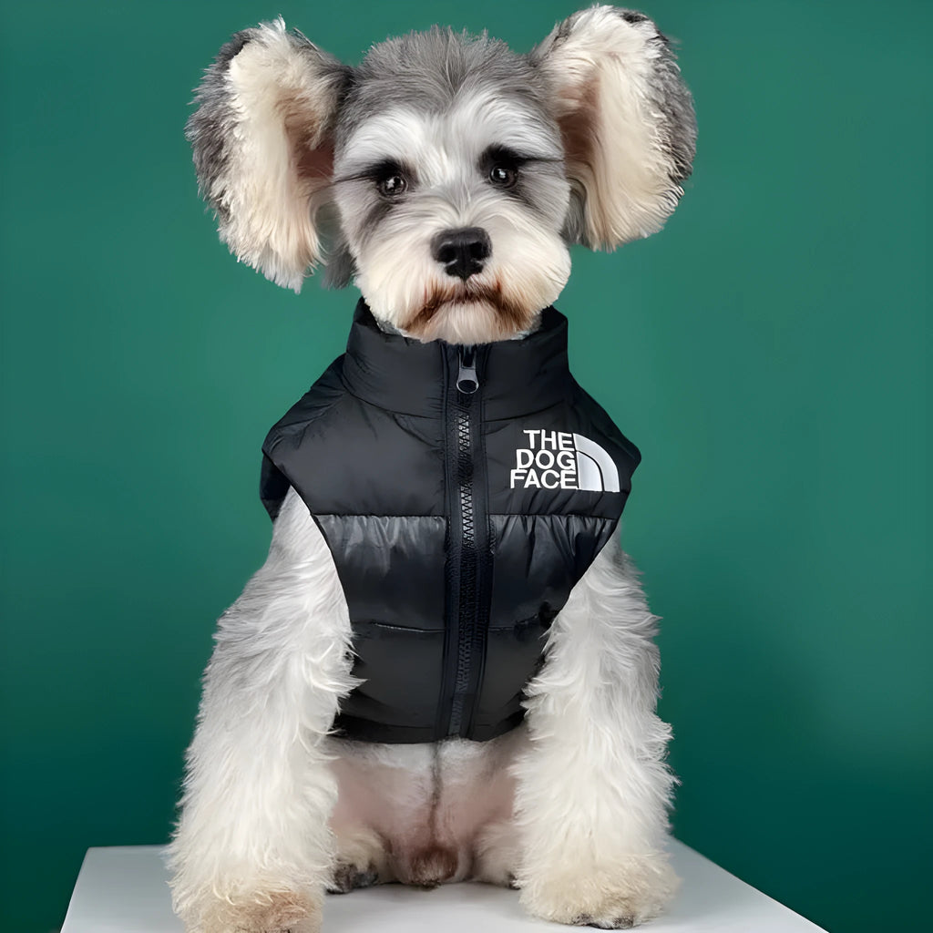 Thick warm dog down vest in black or red, sizes S to XXL for autumn and winter pet wear