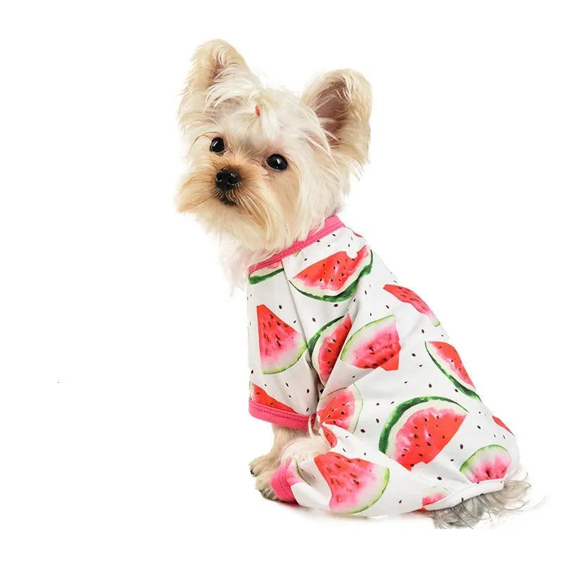 Watermelon red four-leg dog jumpsuit with watermelon print, polyester pet clothing in sizes XS to 2XL
