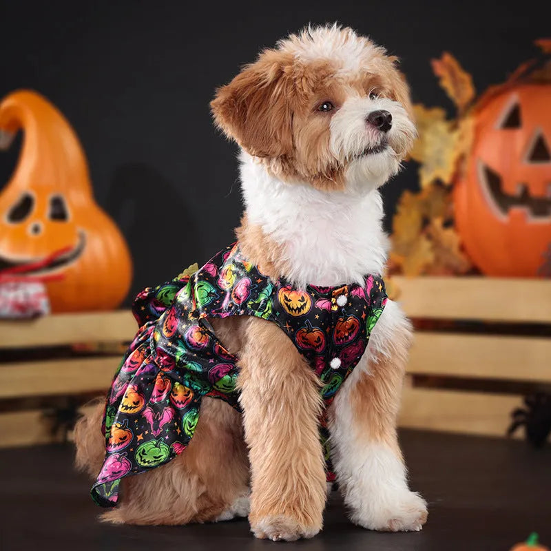 Dog wearing orange angel wings Halloween costume with a chest strap.