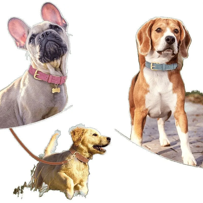 Creative double-layer leather and mohair dog collar with matching leash in blue, brown, or rose red.