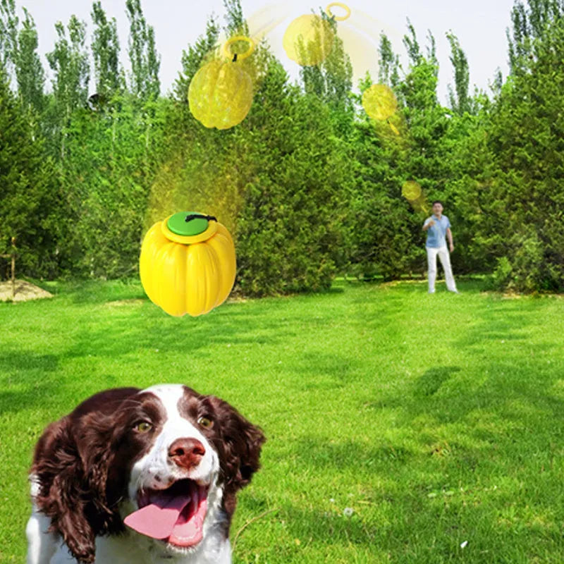 Pumpkin-shaped dog chew ball with squeaker for small dogs in green, orange and yellow colours