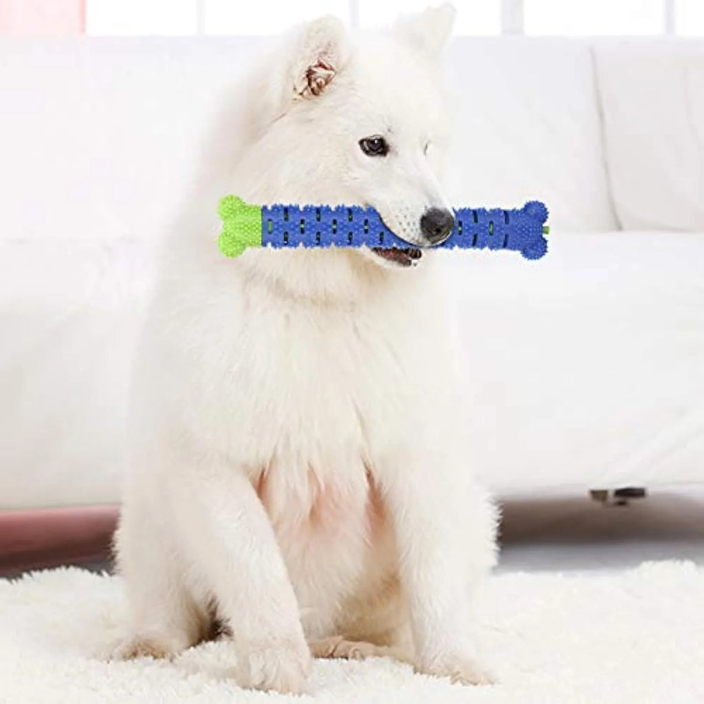 Blue and green silicone dog dental chew toy with brush-head texture and nodule design for cleaning teeth.