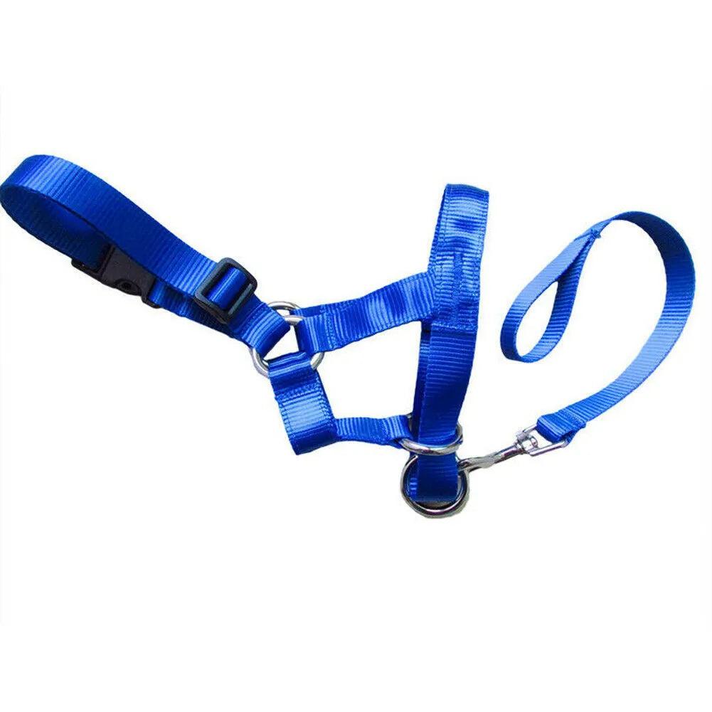 Nylon dog muzzle rushing leash cover in black, blue, and red with size options