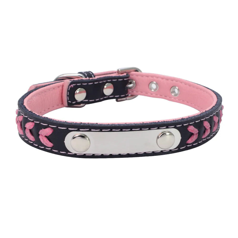 Stainless steel iron dog collar with laser lettering on genuine leather strap, available in blue, pink, purple, red and yellow