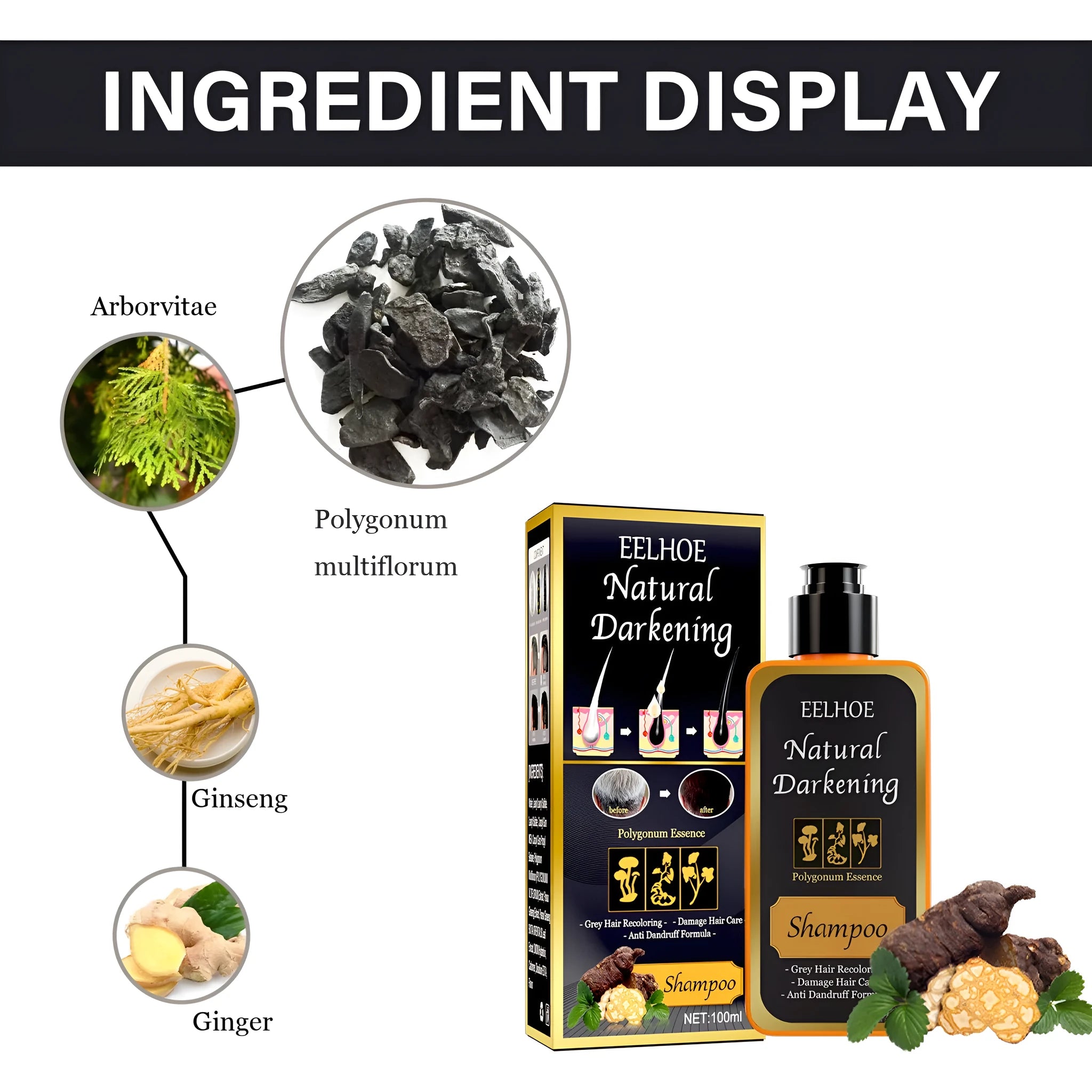 100ml box of Polygonum Multiflorum Shampoo for turning white hair black, anti-hair loss, and anti-dandruff.