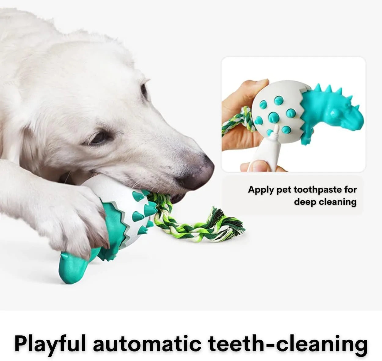 Blue durable rubber dinosaur dog chew toy with a green nylon rope, shown for scale.