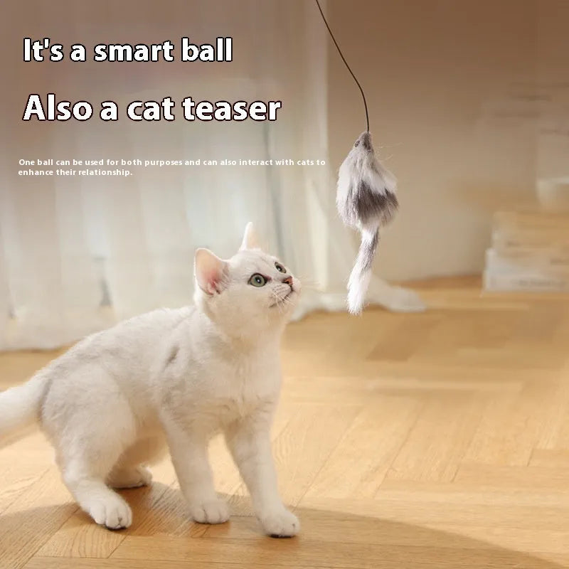 Automatic cat teasing ball toy with plush mouse in blue orange and dark grey colours
