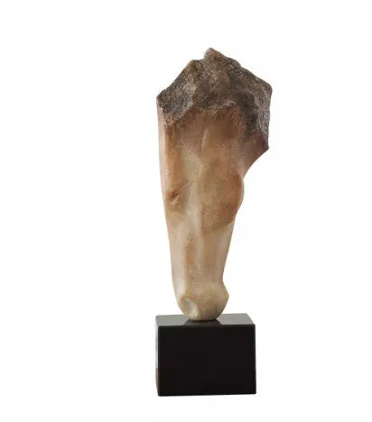 French retro style abstract horse head desktop sculpture carved from solid resin.