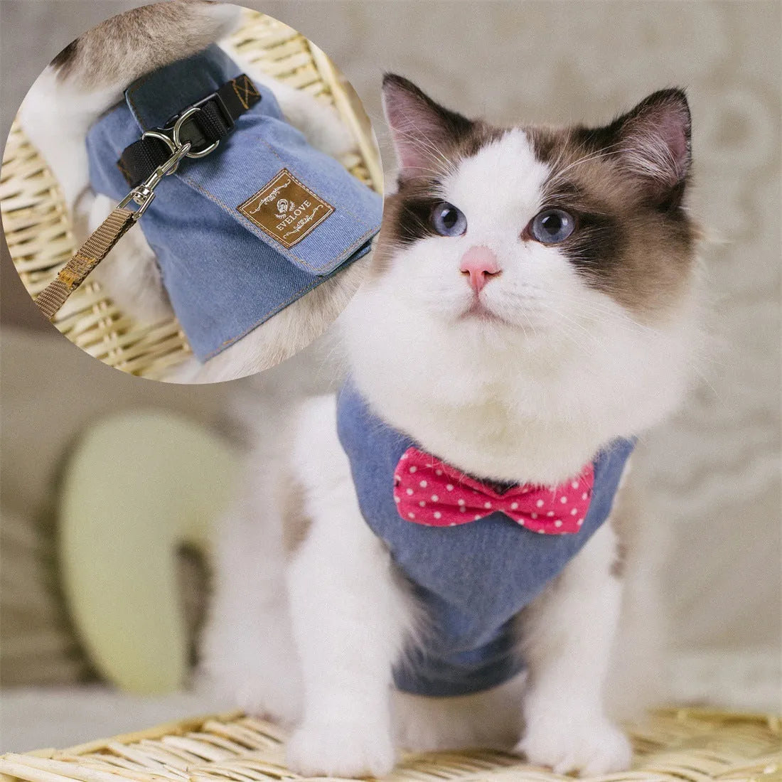 Cat harness and lead set with bow tie, cloth chest strap, metal buckle and 1.25m towing rope in size S, M or L