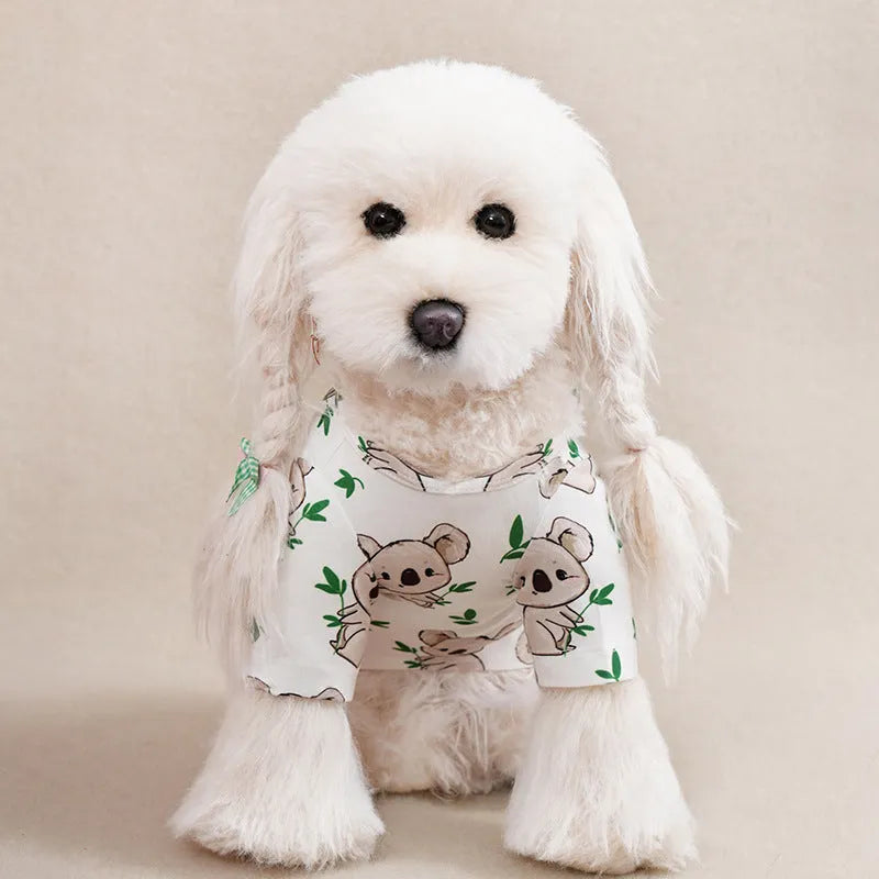 Colourful printed T-shirt on a small dog, showing the casual fit and full graphic design.