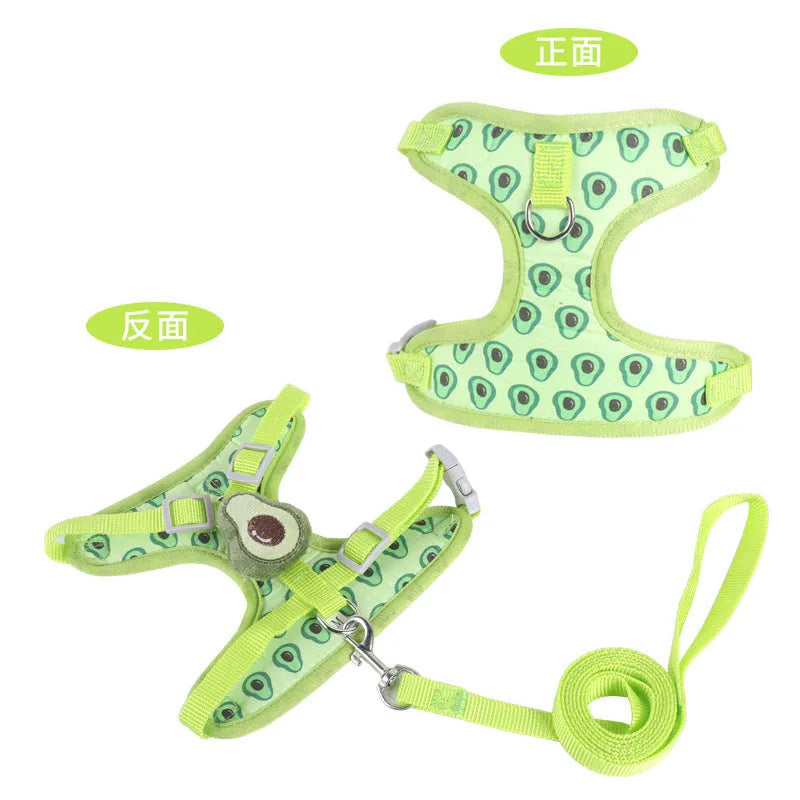 Small dog wearing a green avocado-coloured vest-style harness with reflective trim.