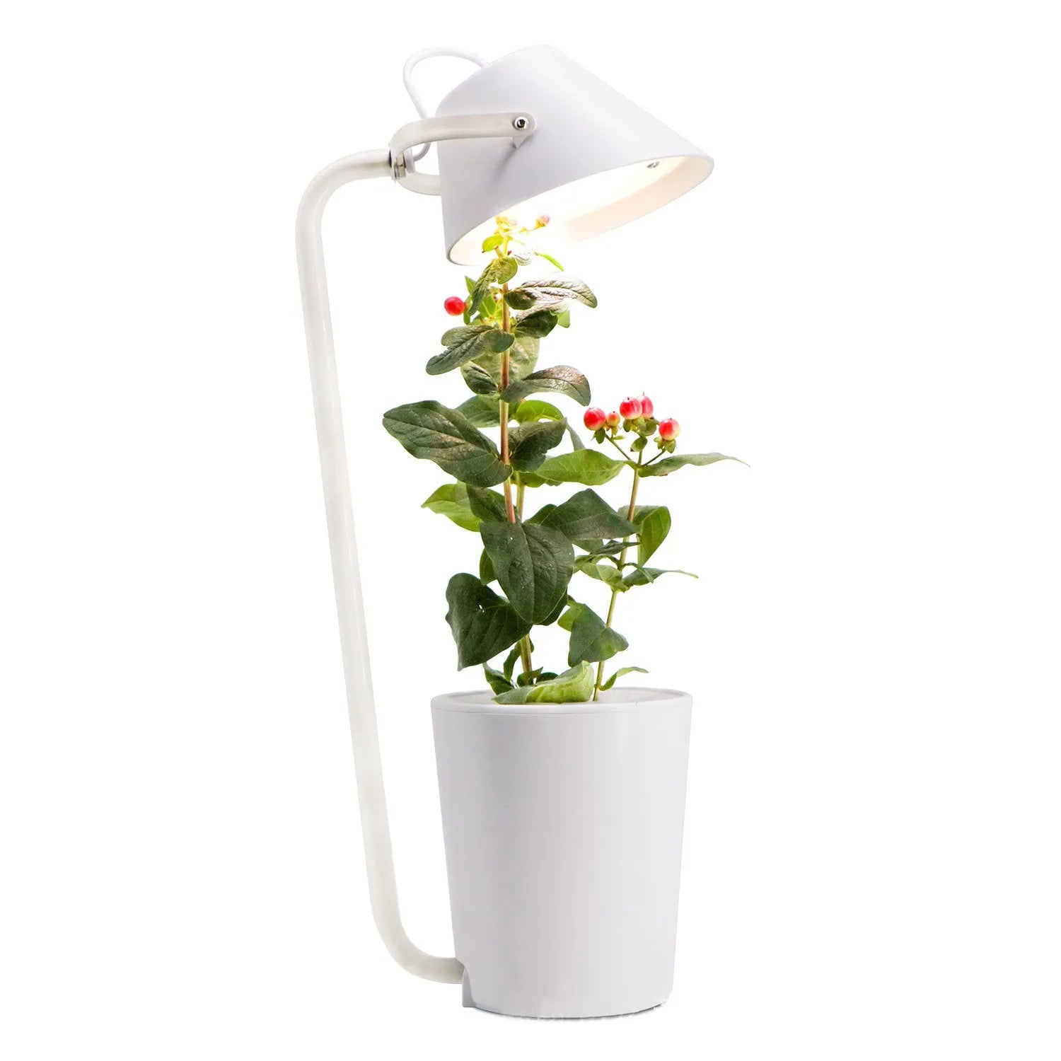 White plastic hydroponic growing machine for desktop soilless plant cultivation