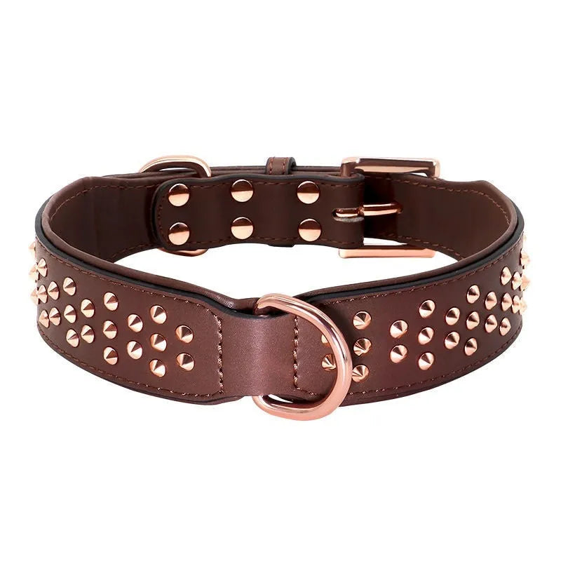 Leather dog collar with metal rivets and buckle in chocolate colour on a white background.