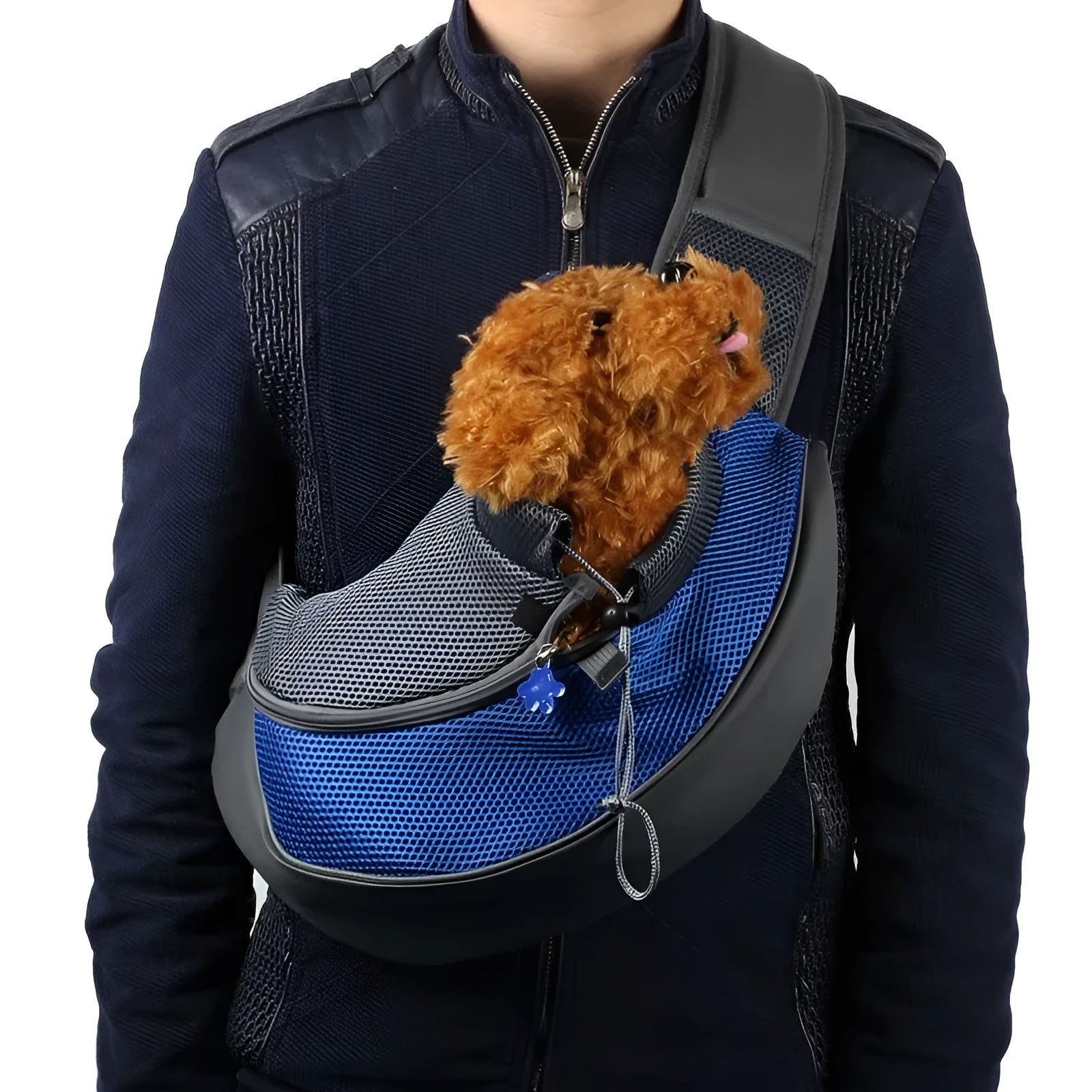 Blue pet carrier backpack with mesh ventilation windows on a person's back, showing the interior space.