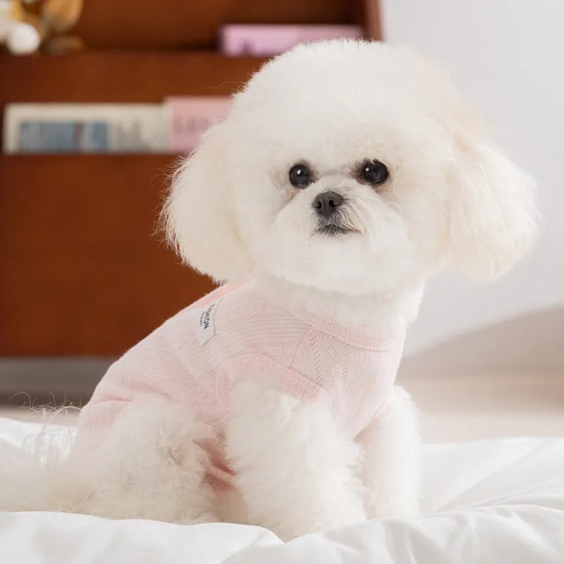 Soft yellow mesh pet shirt with cartoon cat patch and button closure on a small dog or cat