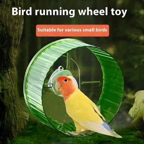 Plastic bird wheel treadmill running toy for parrots in transparent colour