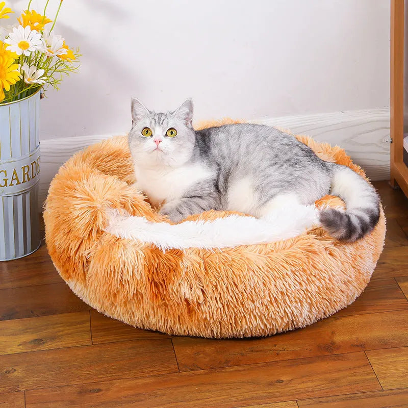 Waterproof cloth dog kennel with semi-surrounded walls and a removable cushion in a champagne colour.