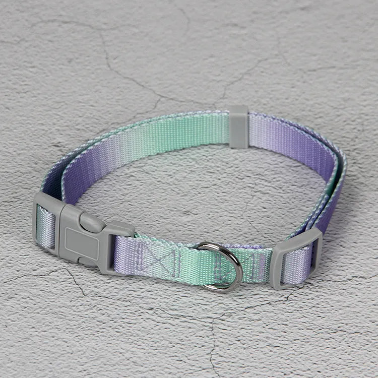 Gradient colour nylon dog leash and matching adjustable collar set for small medium dogs.