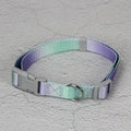 Gradient colour nylon dog leash and matching adjustable collar set for small medium dogs.