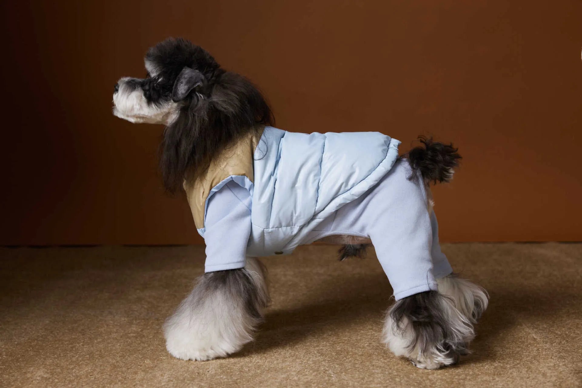 Blue polyester dog vest for small breeds like Teddy Schnauzer Bichon autumn winter wear
