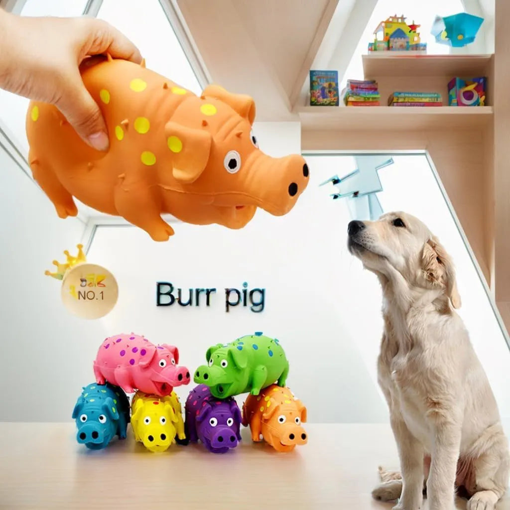 Blue latex pig-shaped dog chew toy with a textured surface and squeaker inside.