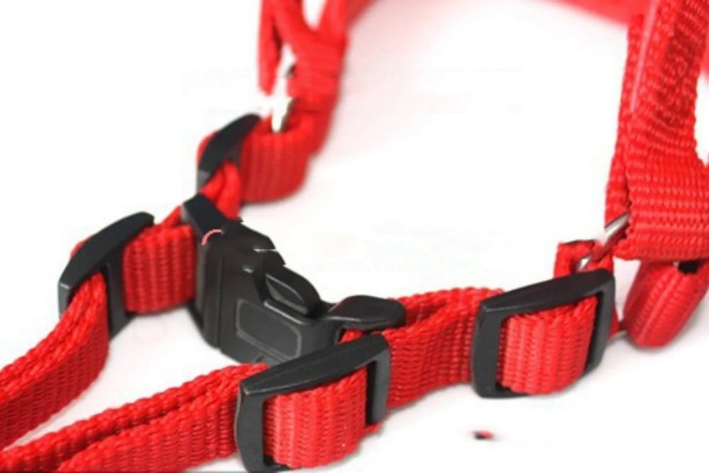 Blue soft lining polypropylene foam pet harness traction belt with nylon webbing and chest strap on white background