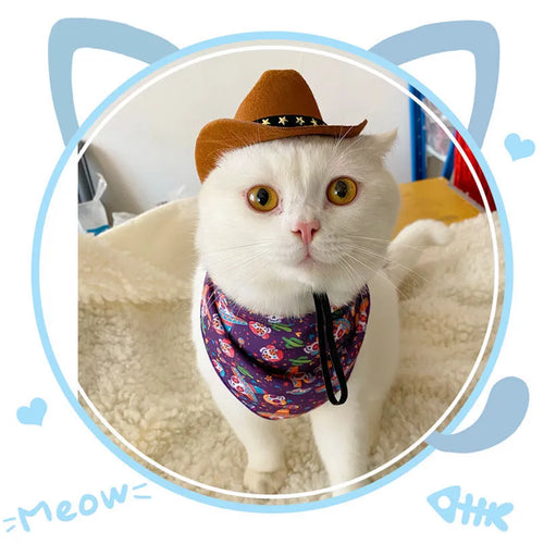 British-style brown cat cowboy hat with black ribbon on non-woven fabric