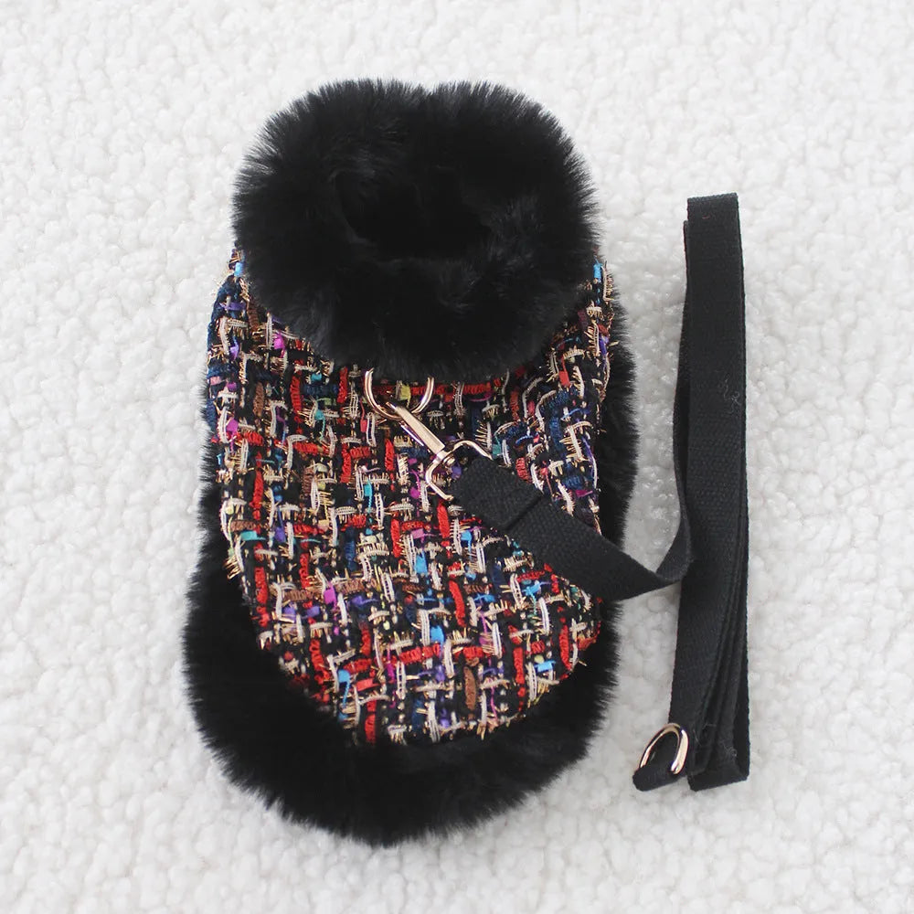 Dog wearing a decorative beret-style cloth cloak attached to a walking lead and chest strap harness.